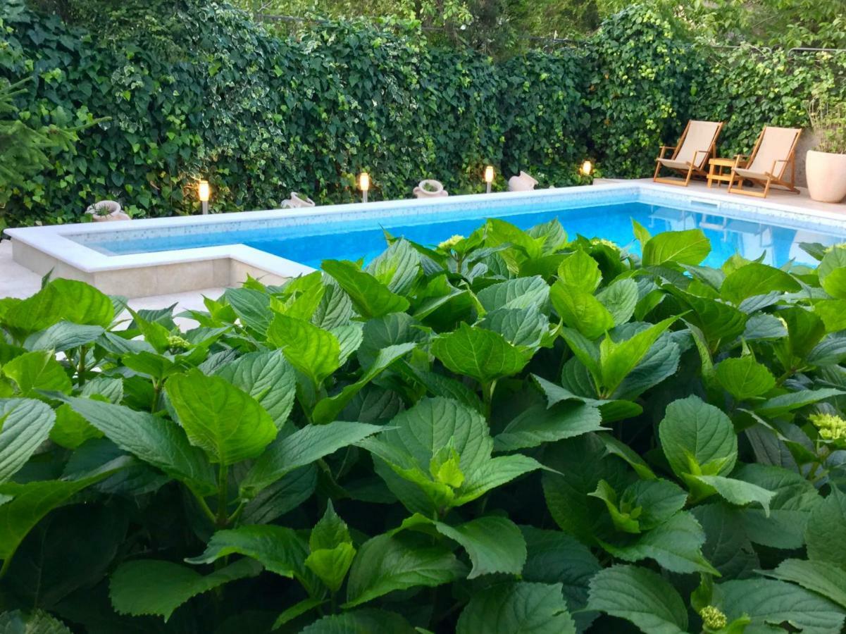 Apartments Pean Tivat Kültér fotó